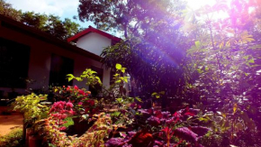 Отель Wicky home stay  Dambulla